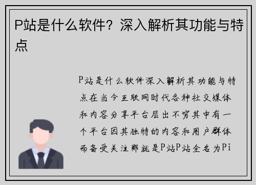 P站是什么软件？深入解析其功能与特点